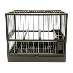 Imagen 1